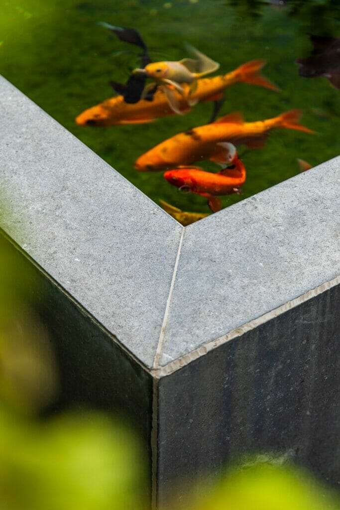 Project Norbert Fonteynestraat Oedelem